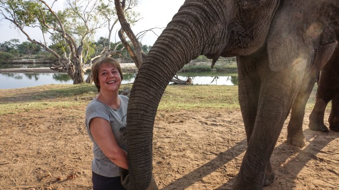 dsc05827theelephantcafezambia